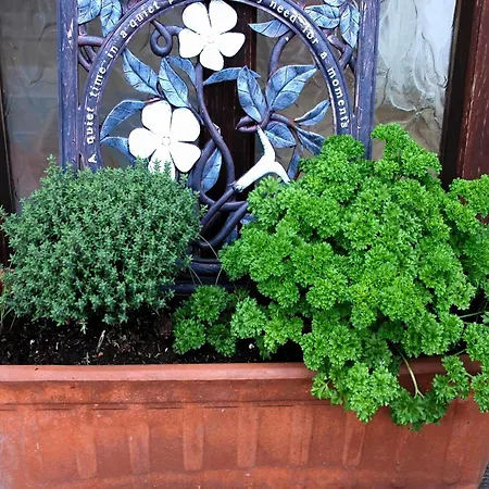 Tranquil In Normandy, Cleaning Included * Sainte-Marguerite-d'Elle